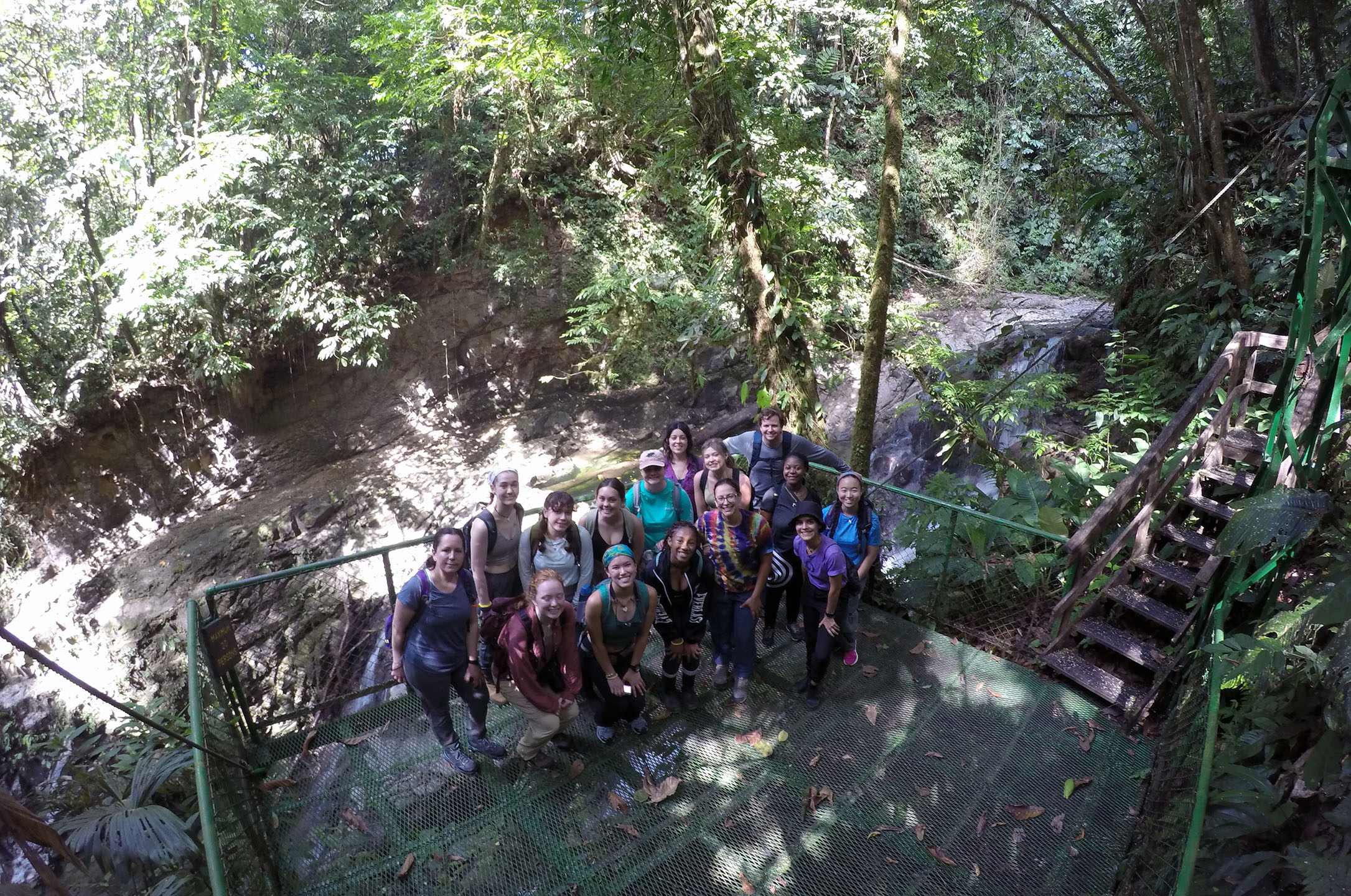 A group of people stand on a wooden platform in the middle of a rainforest.